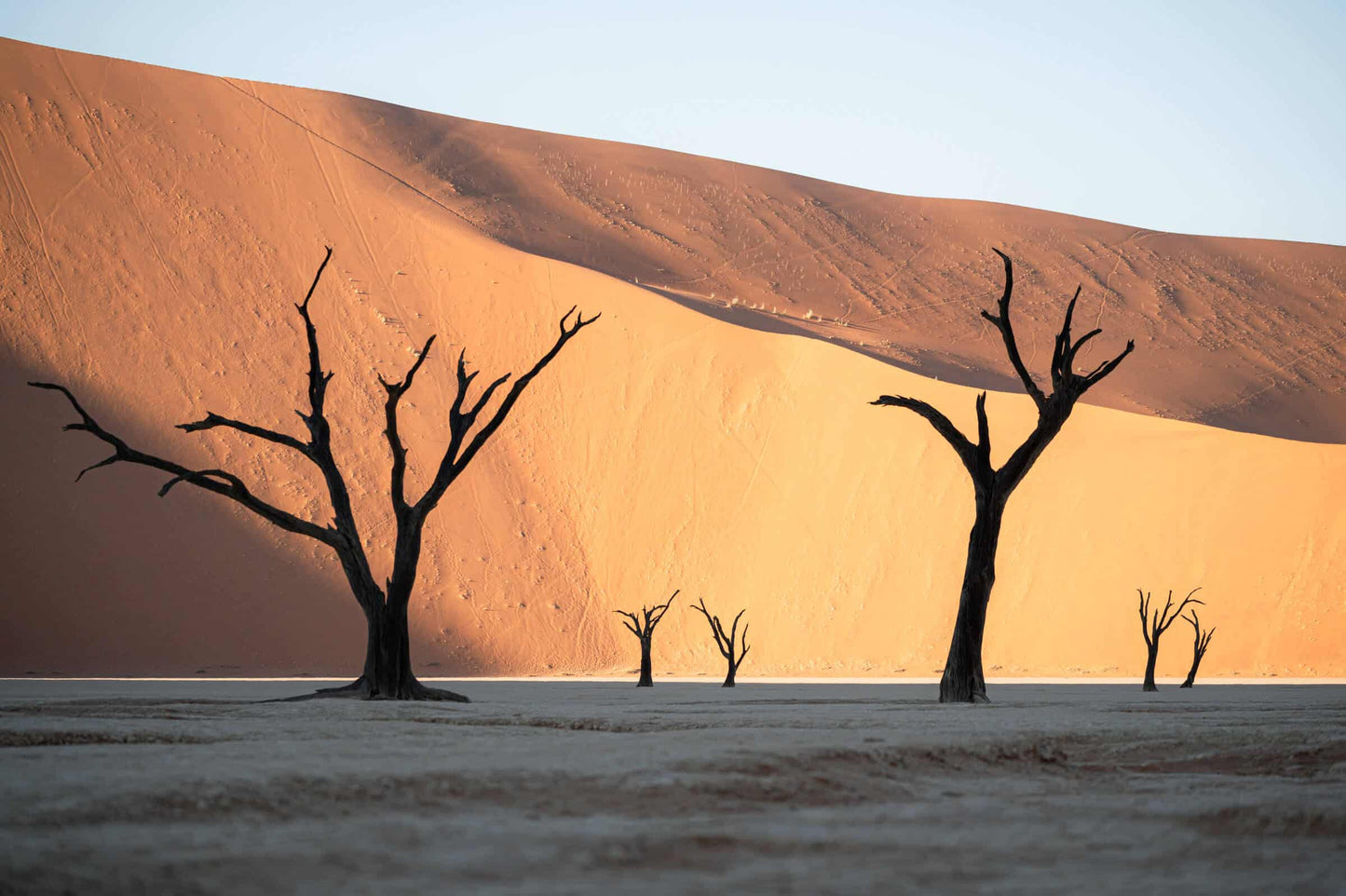 FOTOREIS NAMIBIË